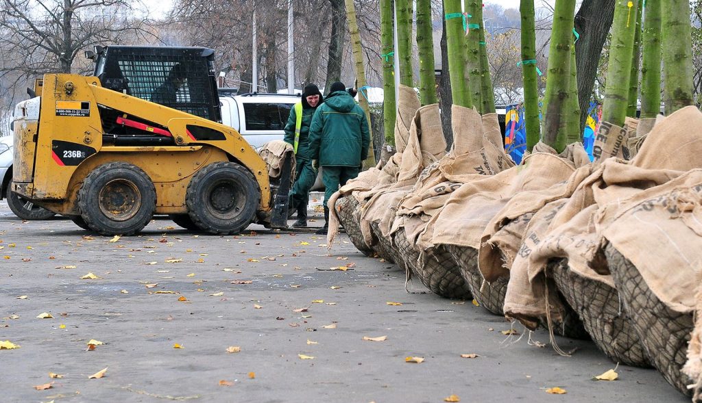 Осенью в центре Москвы появятся более 6,5 тысячи новых деревьев