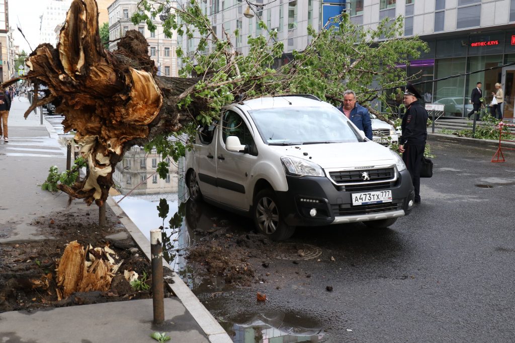 Автомобилистов Москвы предупредили об опасном ветре