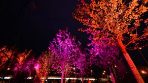 Подсветка на Южных воротах. Фото: портал Мэра и Правительства Москвы Подсветка на Южных воротах. Фото: портал Мэра и Правительства Москвы