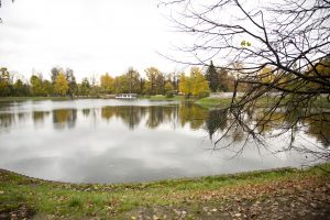 В районе Чертаново Центральное благоустроили городской пруд. Фото: архив, «Вечерняя Москва»