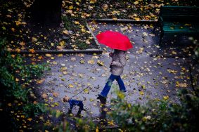 Дожди усилятся 13 октября в Москве