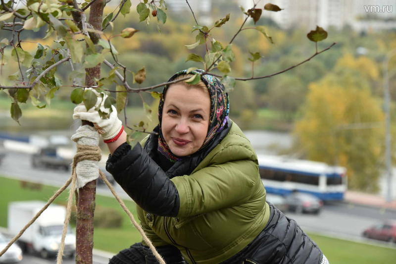 Высадка деревьев стартует в Москве