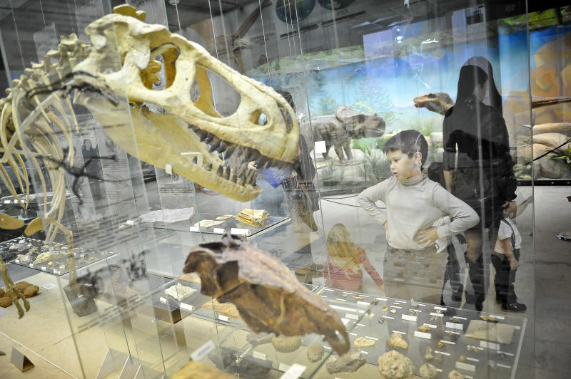 Череп африканской антилопы покажут на выставке в Дарвиновском музее