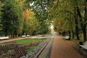 В четверг без осадков, но уже похолодает. Фото: Наталия Нечаева