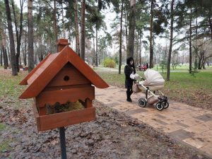 вочки, скворечники, проложили новые дорожки. Но проблему со светом еще предстоит решить. Фото: Сергей Шахиджанян