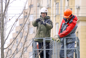 Тополям вдоль Варшавского шоссе сделают омолаживающую обрезку. Фото: скриншот с сайта мэра и Правительства Москвы Тополям вдоль Варшавского шоссе сделают омолаживающую обрезку. Фото: скриншот с сайта мэра и Правительства Москвы