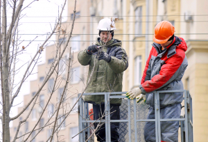 Тополям вдоль Варшавского шоссе сделают омолаживающую обрезку. Фото: скриншот с сайта мэра и Правительства Москвы