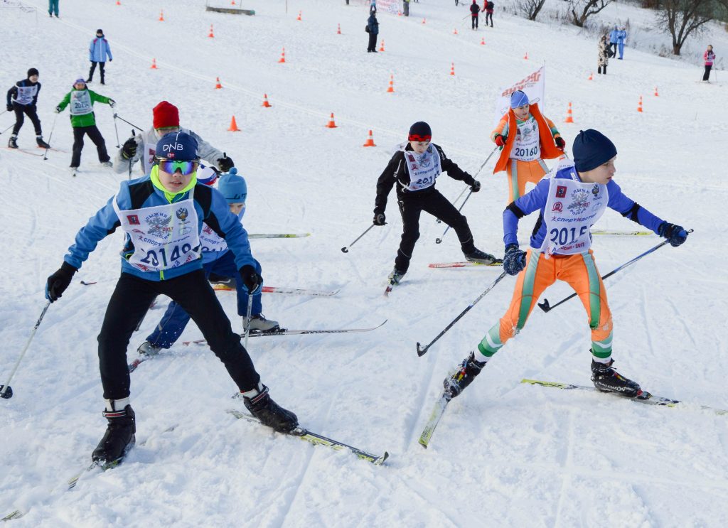 Всепогодные лыжные трассы откроются в семи парках Москвы