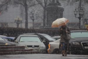 Москву занесет снегом. Фото: Анна Иванцова