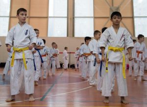 Более пяти спортивных школ в ЮАО оснастят в следующем году беспроводной интернет-сетью. Фото: архив, «Вечерняя Москва» Более пяти спортивных школ в ЮАО оснастят в следующем году беспроводной интернет-сетью. Фото: архив, «Вечерняя Москва»