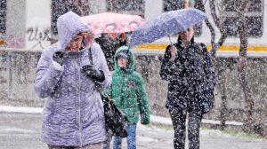 Треть месячной нормы осадков выпало в Москве 1 декабря. Фото: Игорь Ивандиков, «Вечерняя Москва»