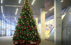 На 20 станциях МЦК к Новому году появятся праздничные деревья, в том числе на 3 станциях Южного округа. Фото: скриншот с сайта мэра и Правительства Москвы