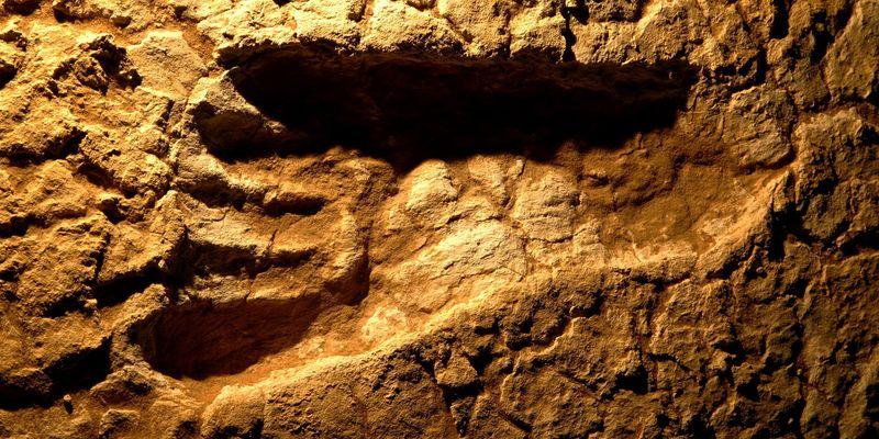 Ученые нашли самые древние следы живого существа