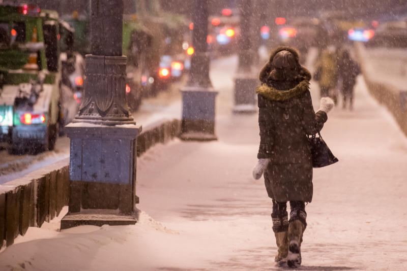 Сильный снегопад пообещали жителям Москвы на воскресенье
