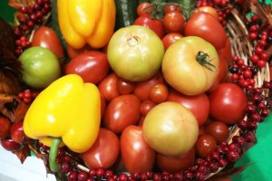 ВегМарт «Сладкий маркет» — ежемесячный маркет вкусной и полезной вегетарианской еды. Фото: архив, «Вечерняя Москва» ВегМарт «Сладкий маркет» — ежемесячный маркет вкусной и полезной вегетарианской еды. Фото: архив, «Вечерняя Москва»