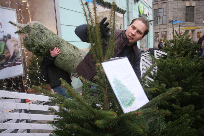 Нераспроданные елки в Москве передали в зоопарк