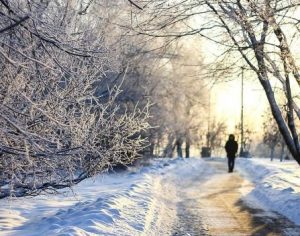 Весной 2018 года в Москве откроется еще один городской парк. Фото: сайт мэра и Правительства Москвы