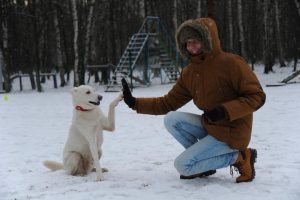 Фото: Светлана Колоскова