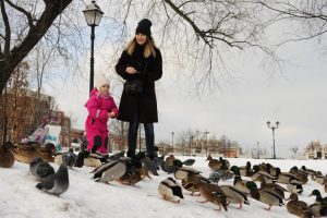 В районе Чертаново Центральное пройдет благоустройство двух парков и 19 дворов многоквартирных домов. Фото: Пелагия Замятина, «Вечерняя Москва»