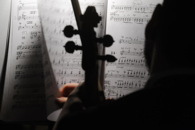 Взгляд в будущее: концерт классической музыки дадут в «Коломенском»