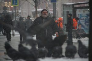 Морозная и снежная погода установится 4 февраля. Фото: архив, «Вечерняя Москва» 