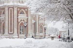 Четыре новые площадки открылись 6 февраля на территории «Царицына». Фото: пресс-служба музея-заповедника «Царицыно»