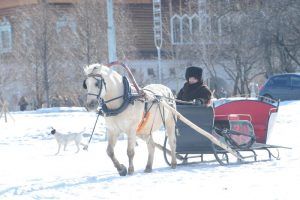 Реконструированные представления и уличные гуляния ждут москвичей и гостей столицы в «Коломенском». Фото: Пелагия Замятина, «Вечерняя Москва»