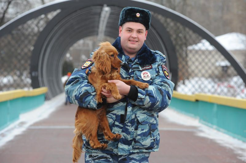 Кинологи провели урок для юнармейцев