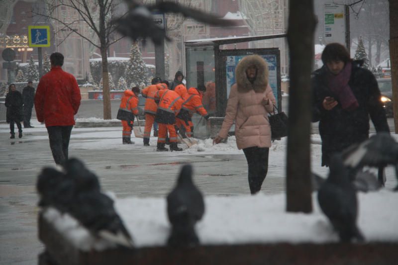Легкий мороз сохранится во вторник в Москве