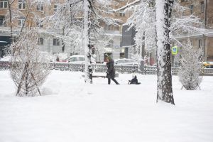 Фото: Пелагия Замятина