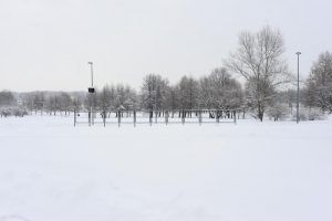 Фото: Пелагия Замятина