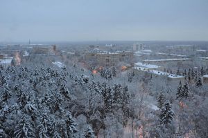 Фото: Александр Кожохин