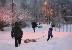 Фото: Александр Кожохин, "Вечерняя Москва"