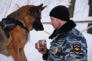 Перед началом массовых мероприятий места их проведения проверят кинологи со служебными собаками. Фото: Светлана Колоскова, «Вечерняя Москва» Перед началом массовых мероприятий места их проведения проверят кинологи со служебными собаками. Фото: Светлана Колоскова, «Вечерняя Москва»