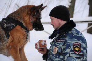 Перед началом массовых мероприятий места их проведения проверят кинологи со служебными собаками. Фото: Светлана Колоскова, «Вечерняя Москва»