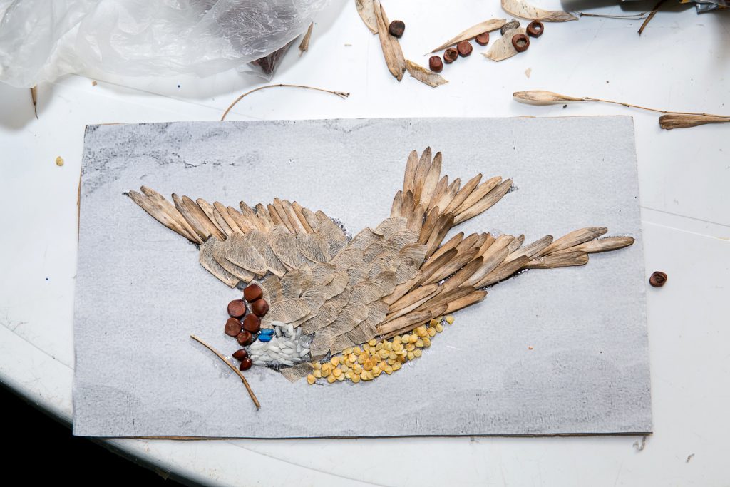 Получить «Птичьи права» москвичи смогут в Дарвиновском музее