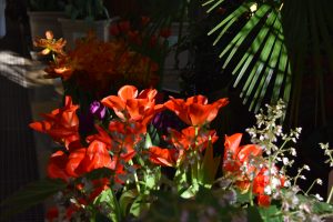 Первоцветы, традиции балов XVII века и тайный язык цветов: в Царицыно женщин поздравили с 8 Марта. Фото: Мария Иванова