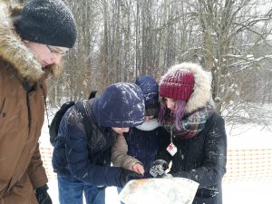 На дистанциях разной сложности соревновались 150 ребят. Фото: предоставлено школой №904