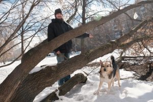 Количество зарегистрированных случаев заболевания животных заразными болезнями в Москве снизилось в три раза. Фото: Маесим Аносов