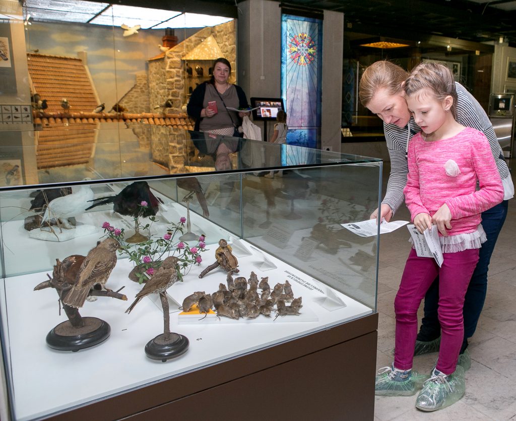 Международный день семьи отпразднуют в Дарвиновском музее
