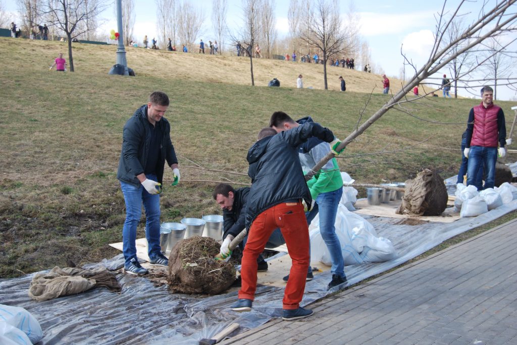 В субботнике приняли участие представители молодежных организаций. Фото: Мария Иванова, «Вечерняя Москва»