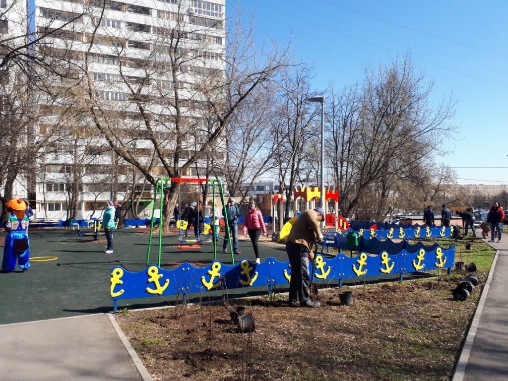 Акция «Миллион деревьев» прошла в Чертанове Северном. Фото: Яна Удовенко