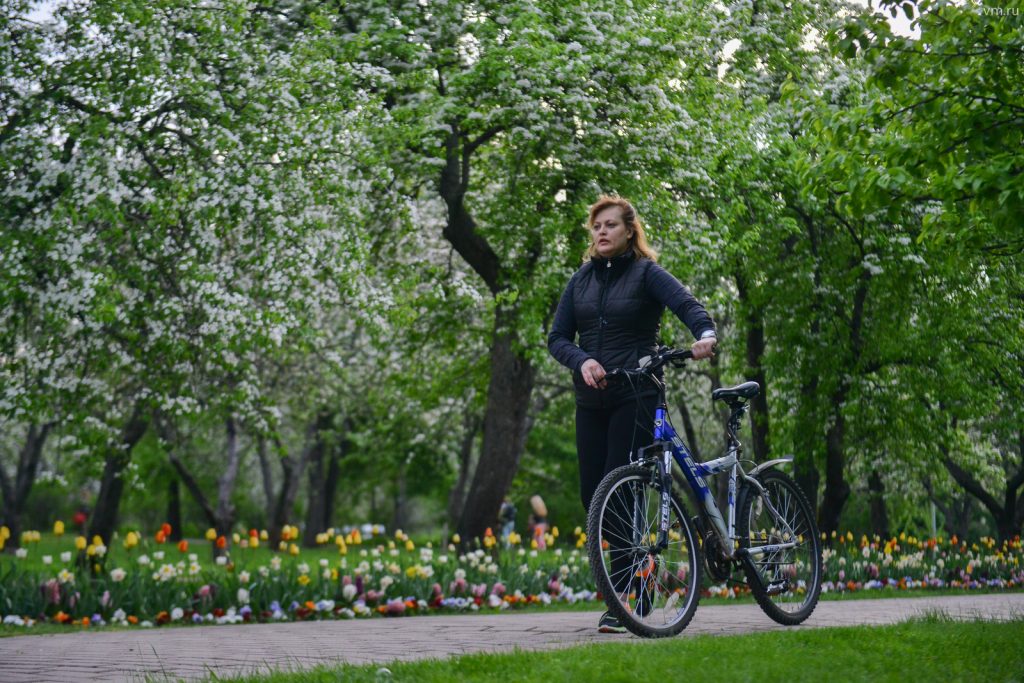 В Москве появится тактильный сад «Шестое чувство». Фото: Наталья Феоктистова, «Вечерняя Москва»
