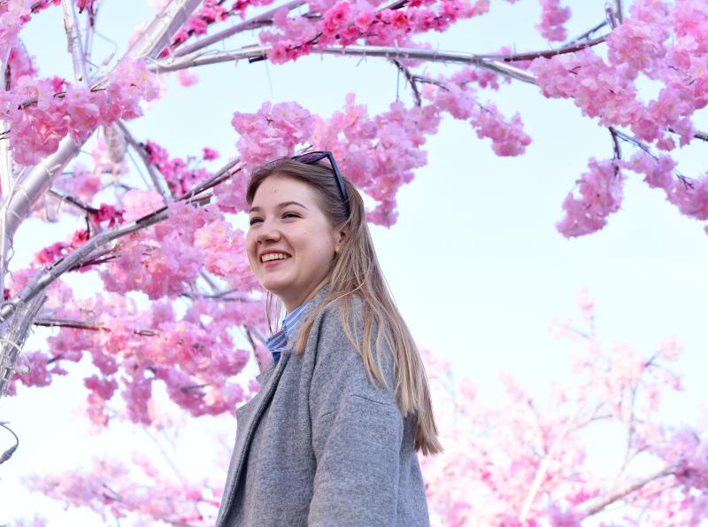 Праздник цветения сакуры «Ханами» пройдет в Бирюлевском дендропарке