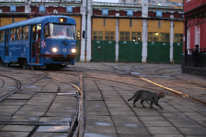 Изменения связаны с проведением в столице Парада трамваев. Фото: Антон Гердо, «Вечерняя Москва»