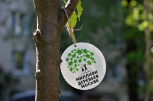 Сегодня около дома №20 корпуса 1, расположенного на Кленовом бульваре, прошла акция «Миллион деревьев».