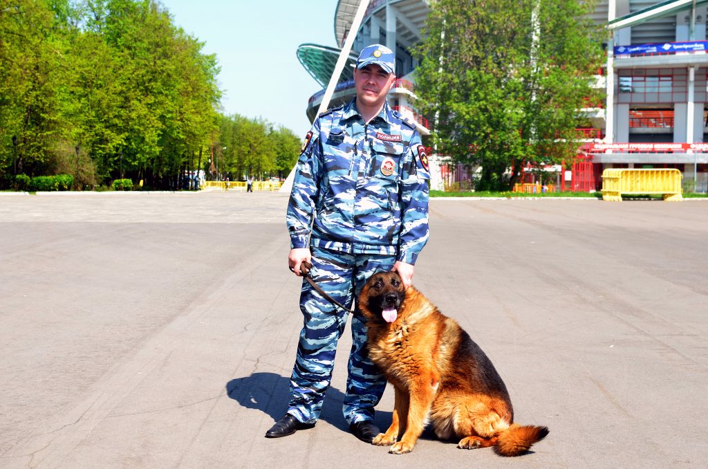 В районе Орехово-Борисово Северное задержана подозреваемая в покушении на сбыт наркотических средств