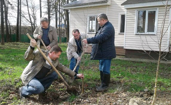 45 берез в честь 45-летия Государственного унитарного предприятия города Москвы «Специальное предприятие при Правительстве Москвы»