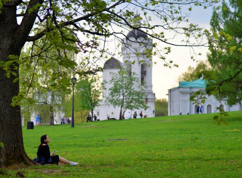 Самым популярным местом для торговли в парках стало «Коломенское»