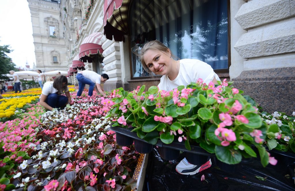 Многолетние растения украсят московские улицы